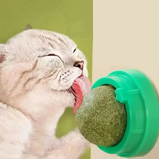 Healthy Catnip Ball