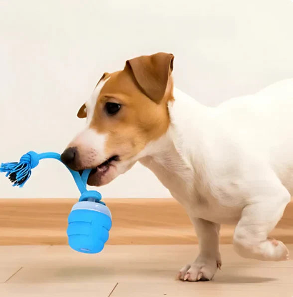 Interactive Chew Toy For Dogs - Fun To Move And Think