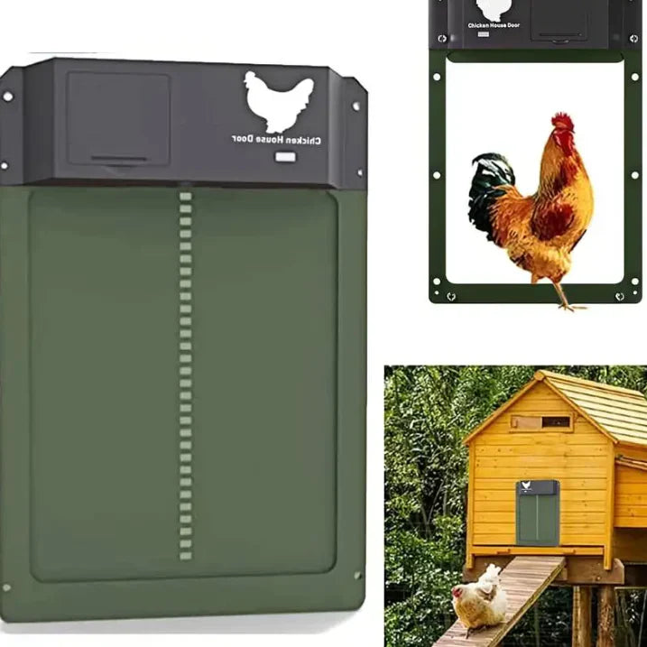 Automatic Door System For The Chicken Coop